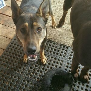 Meet your Posher, Ellen